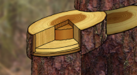 28_02-boom-22sec.png
