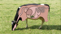 28_06-koe-53sec.png